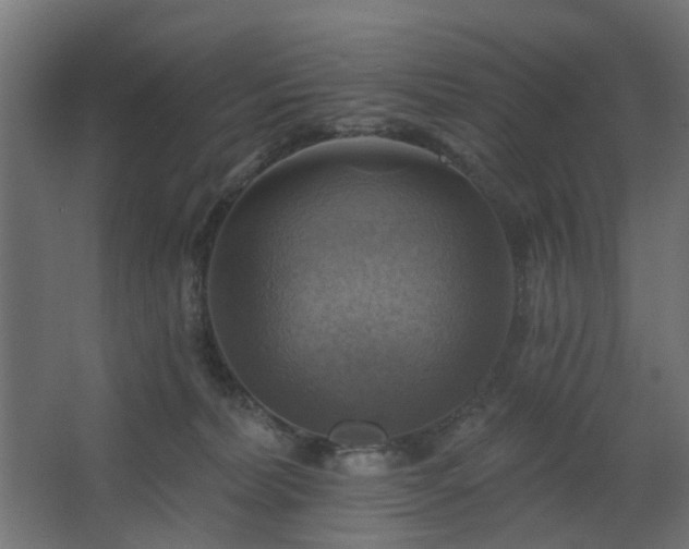 X0000067840228200604201250