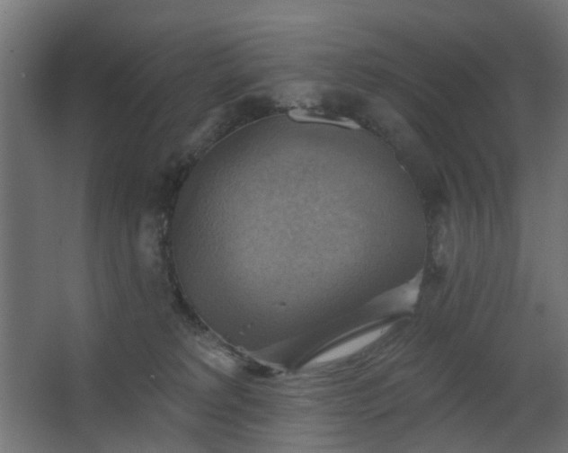 X0000067840229200604201250