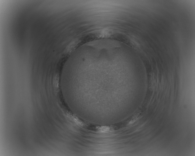 X0000067840230200604201250