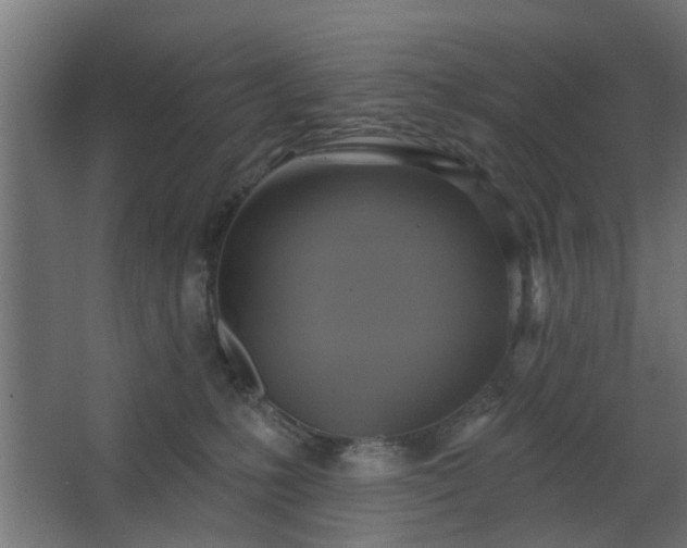 X0000067840231200604201250