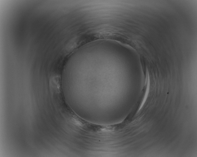 X0000067840232200604201249