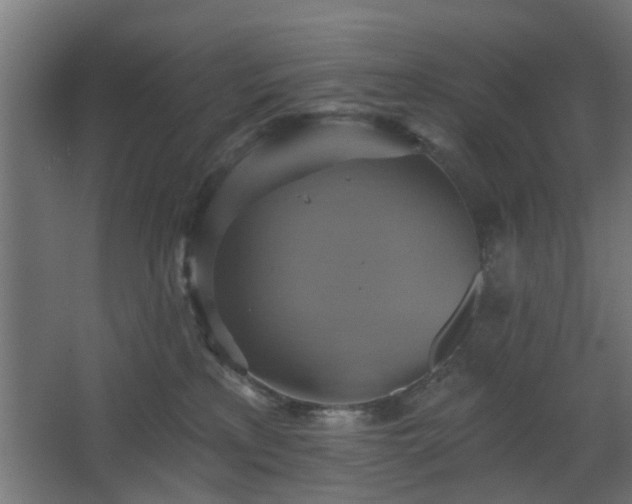 X0000067840233200604201249