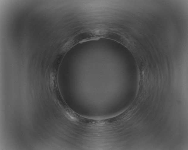 X0000067840235200604201249