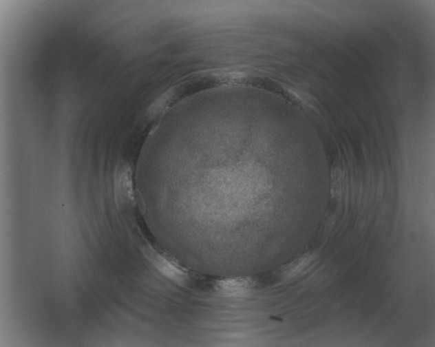 X0000067840238200604201249