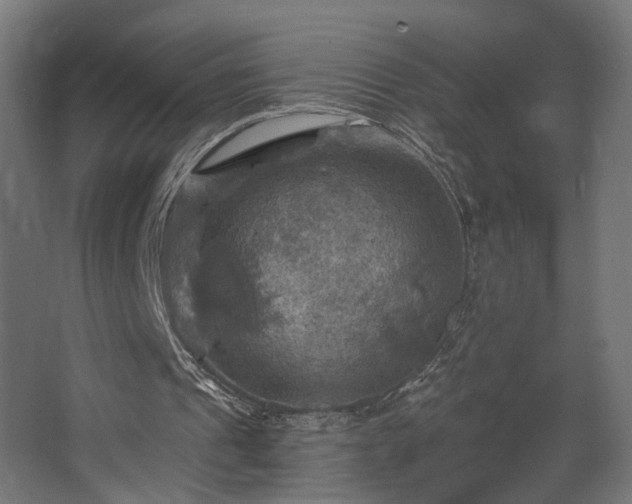 X0000067840241200604201249