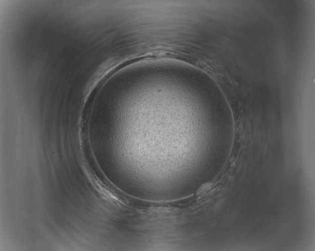 X0000067840242200604201249