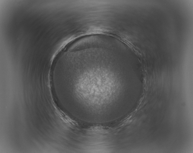 X0000067840244200604201249