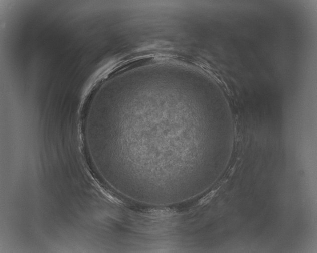 X0000067840245200604201249