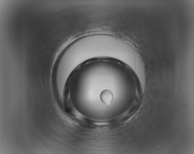 X0000067840248200604201249