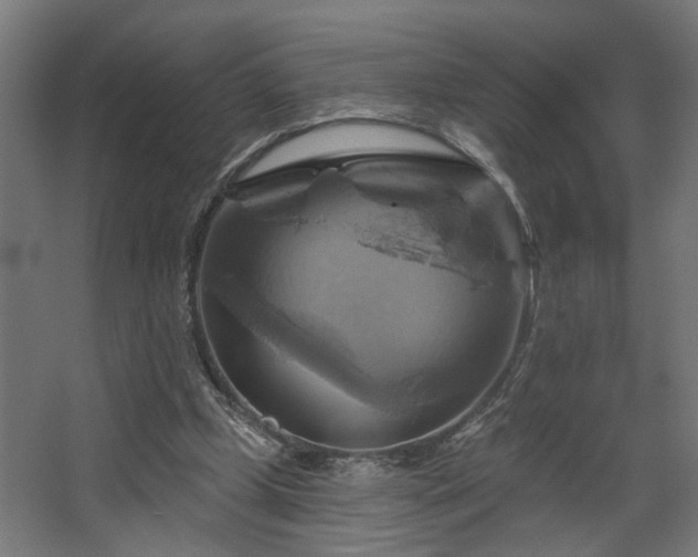 X0000067840249200604201249