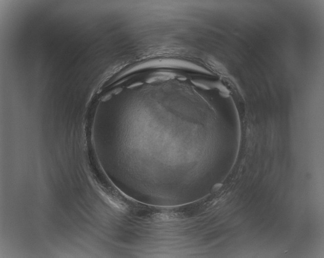 X0000067840250200604201249