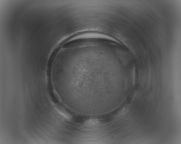 X0000067840252200604201249