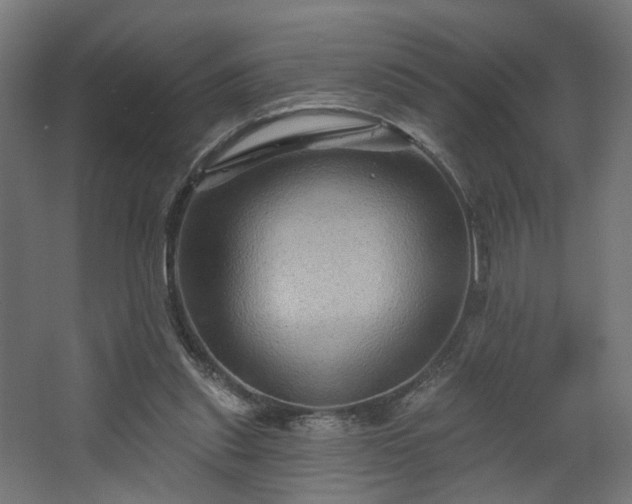 X0000067840253200604201249