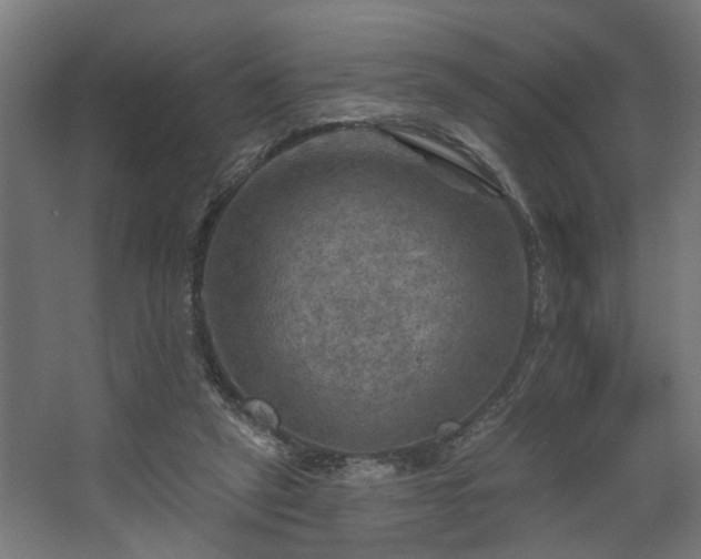 X0000067840257200604201249