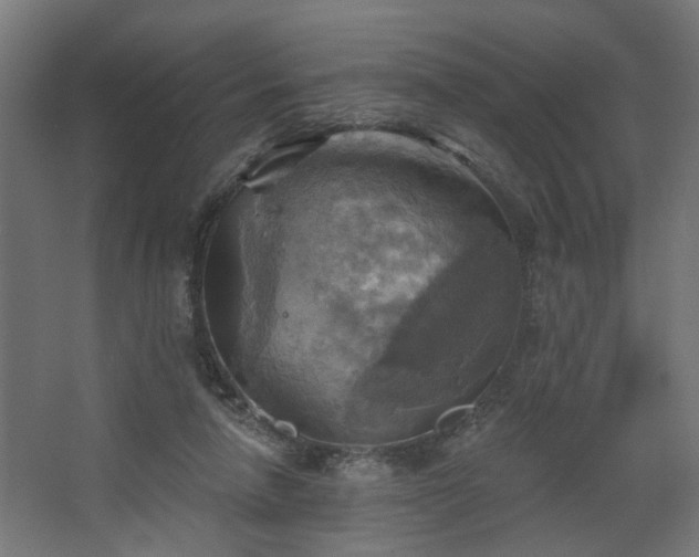 X0000067840258200604201249