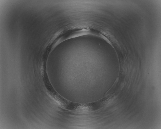 X0000067840260200604201249