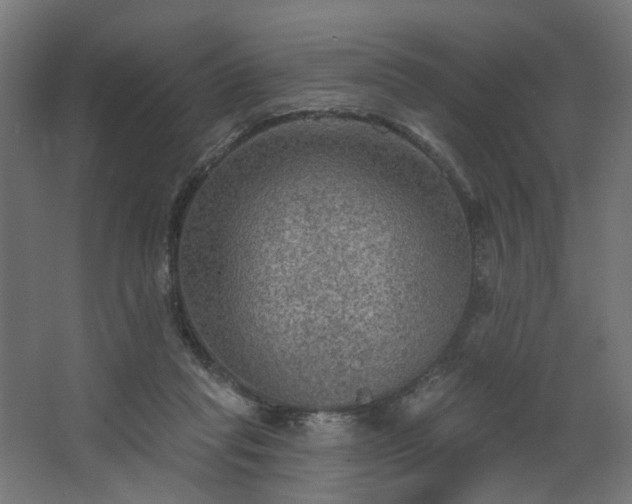 X0000067840261200604201249