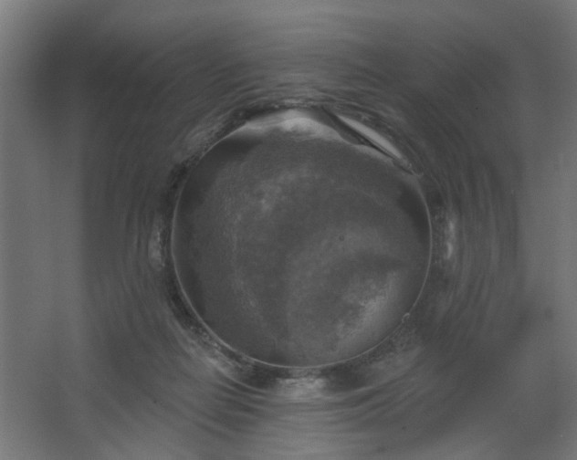 X0000067840266200604201249