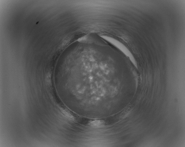 X0000067840269200604201249