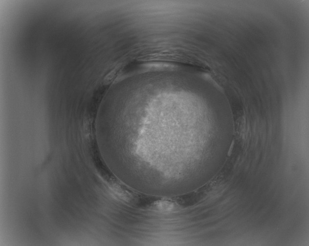 X0000067840272200604201249