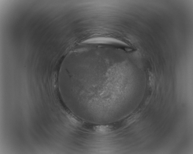 X0000067840273200604201249