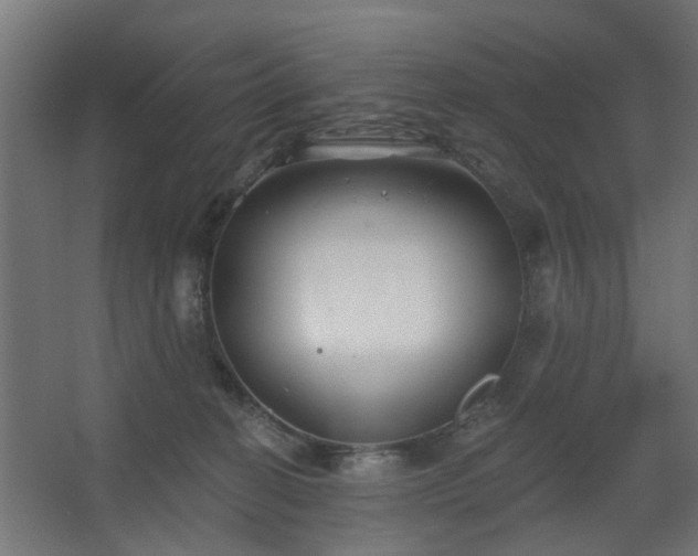 X0000067840274200604201249