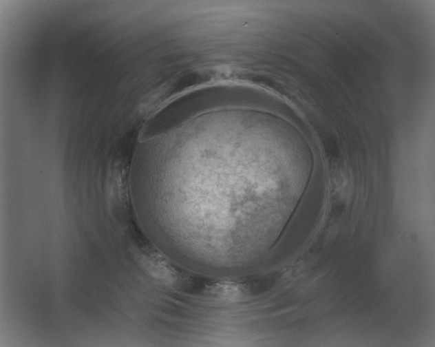 X0000067840276200604201249