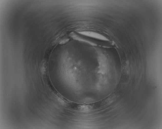 X0000067840277200604201249