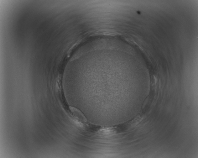 X0000067840280200604201249