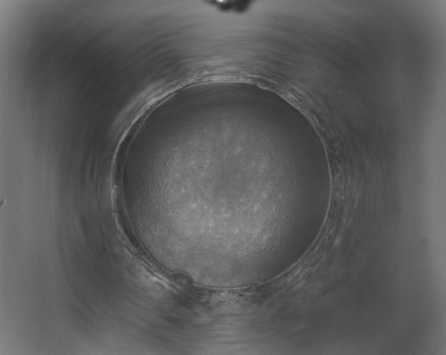 X0000067840290200604201249