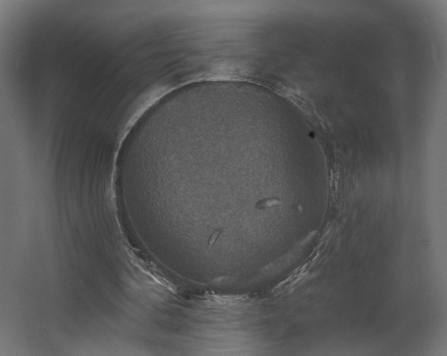 X0000067840292200604201248