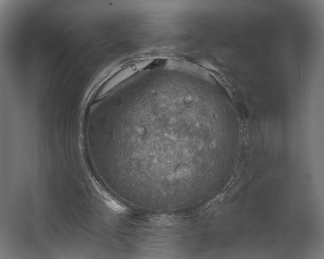 X0000067840293200604201248