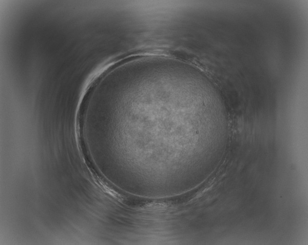 X0000067840294200604201248