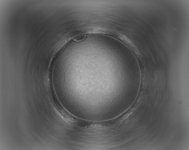 X0000067840298200604201248