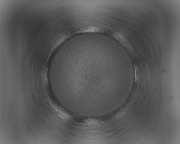 X0000067840300200604201248