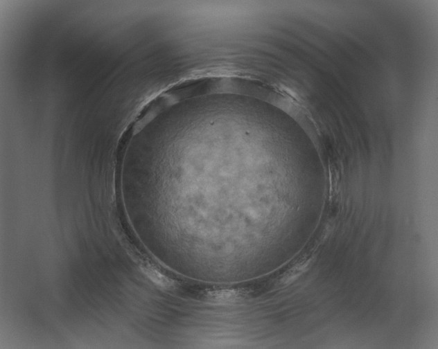 X0000067840301200604201248