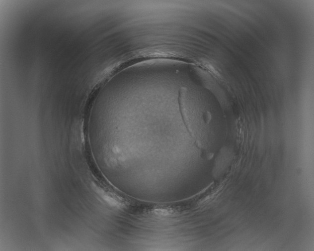 X0000067840302200604201248