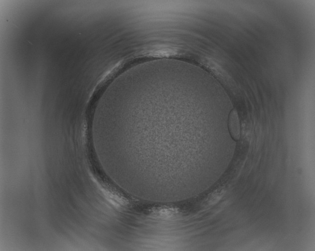 X0000067840304200604201248