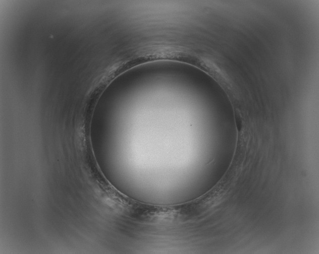 X0000067840306200604201248