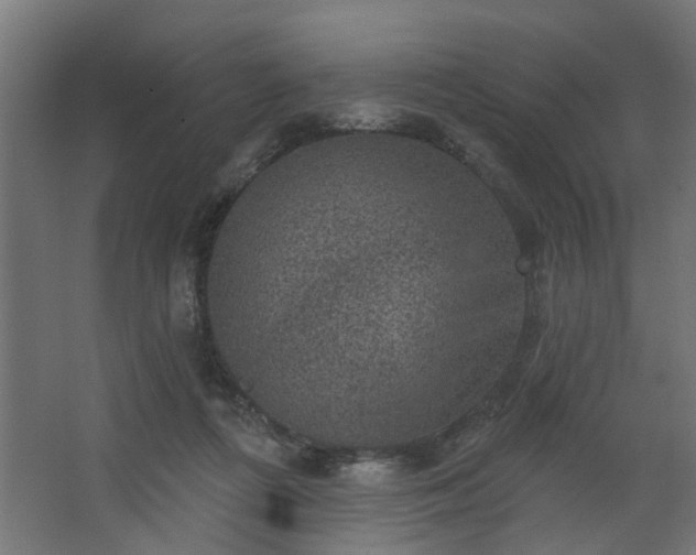 X0000067840312200604201248