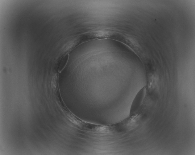 X0000067840325200604201248