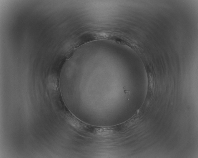 X0000067840331200604201248