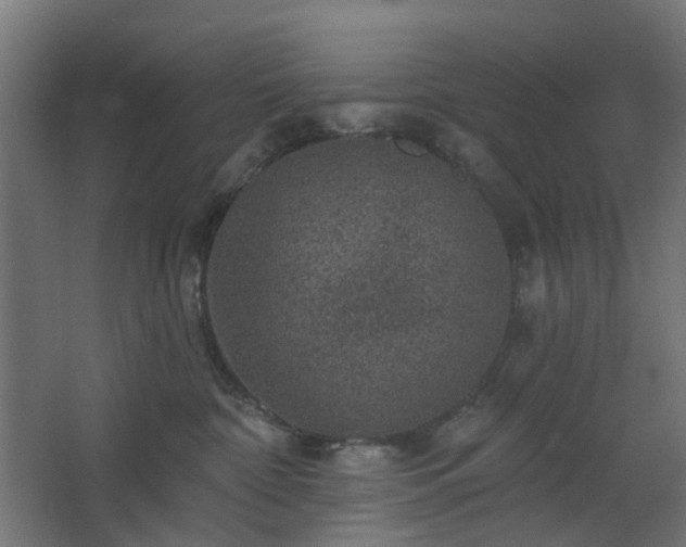 X0000067840332200604201248