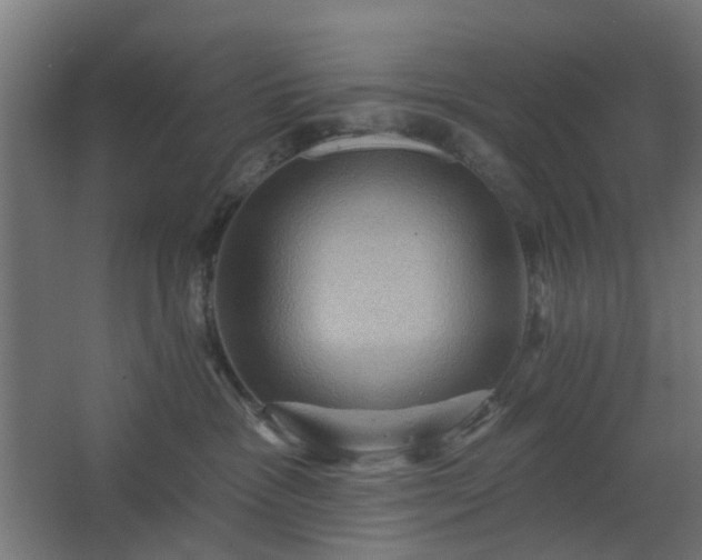 X0000067840333200604201248