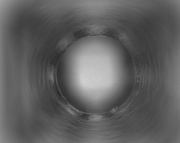 X0000067840334200604201248