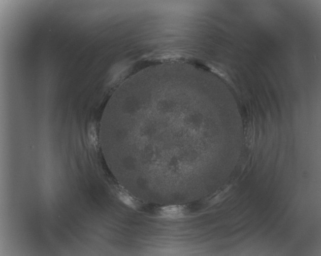 X0000067840335200604201248