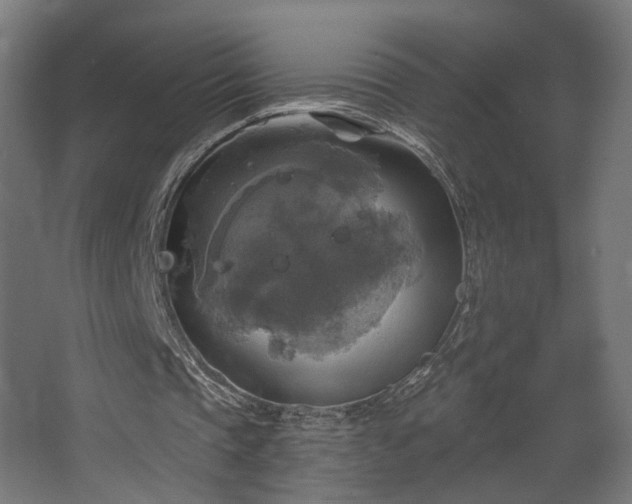 X0000067840337200604201247