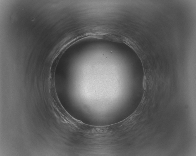 X0000067840338200604201247