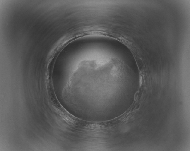 X0000067840339200604201247