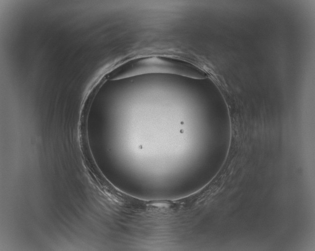 X0000067840340200604201247